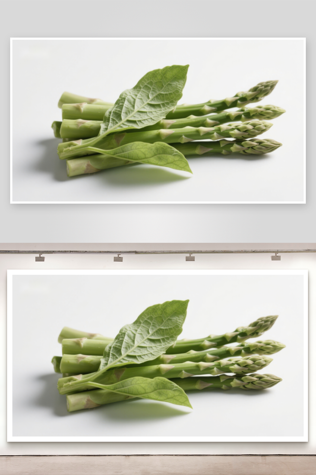 新鲜芦笋与绿叶特写素材