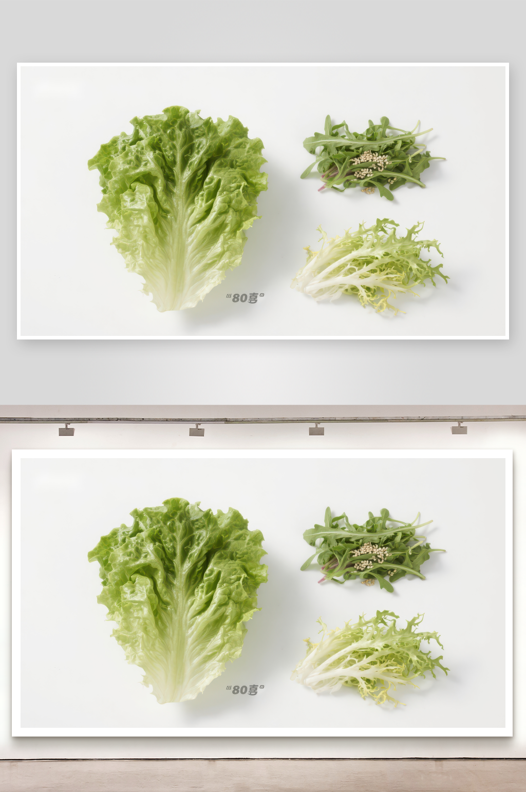 新鲜绿叶蔬菜展示素材