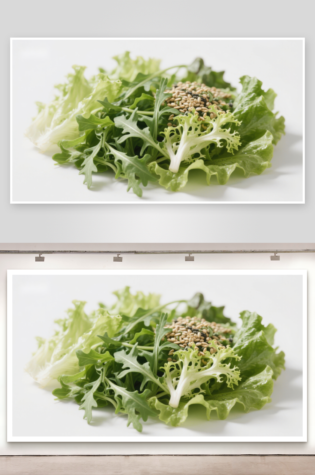 新鲜绿叶蔬菜与种子组合素材
