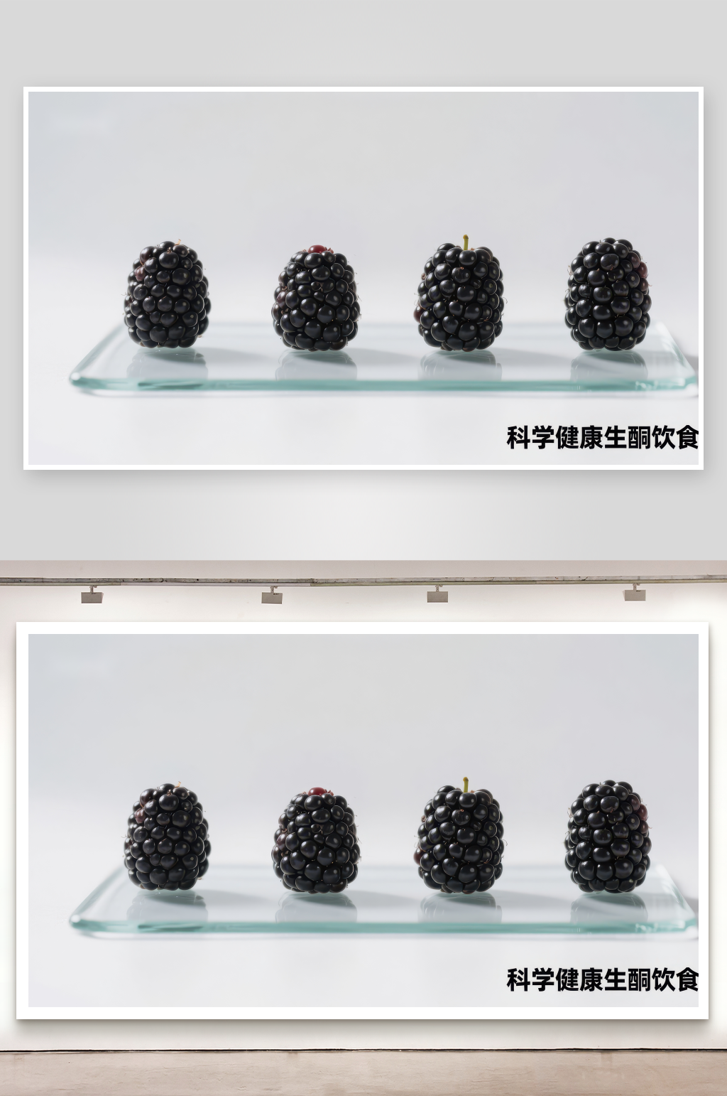 科学健康生酮饮食黑莓展示素材