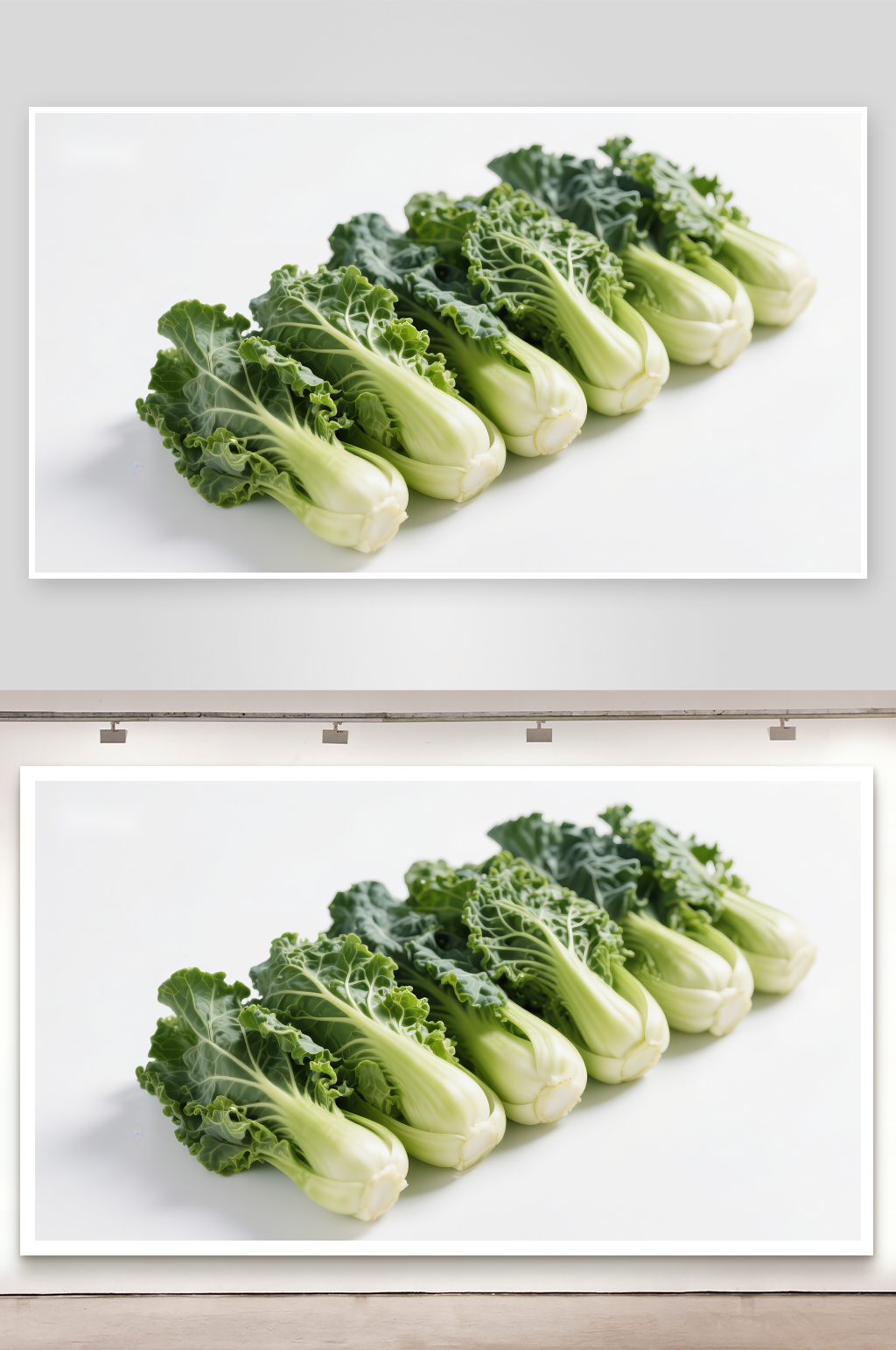 新鲜绿叶蔬菜整齐排列素材