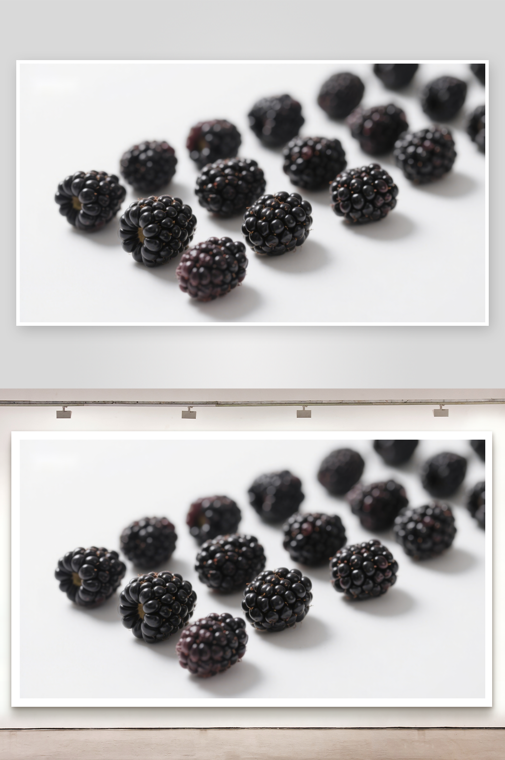 新鲜黑莓整齐排列素材