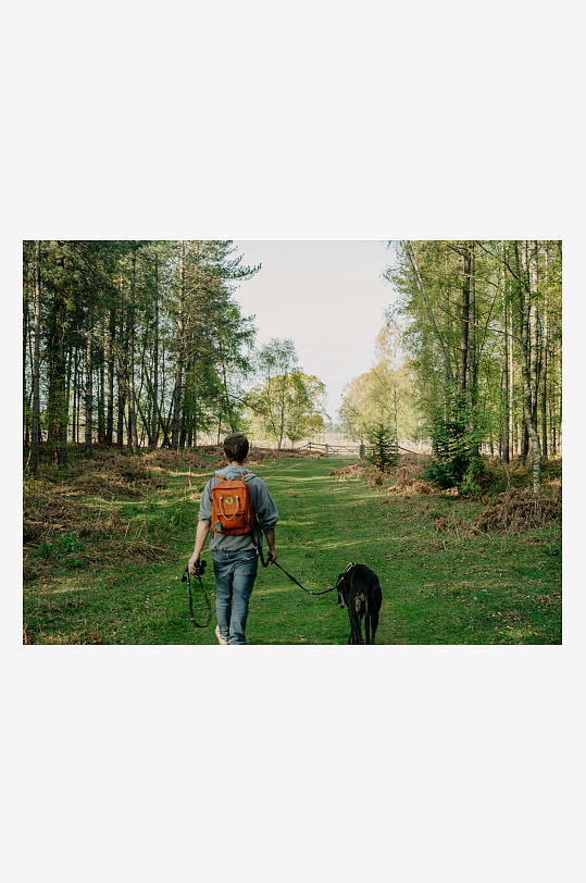 一人一狗林间散步-众图网