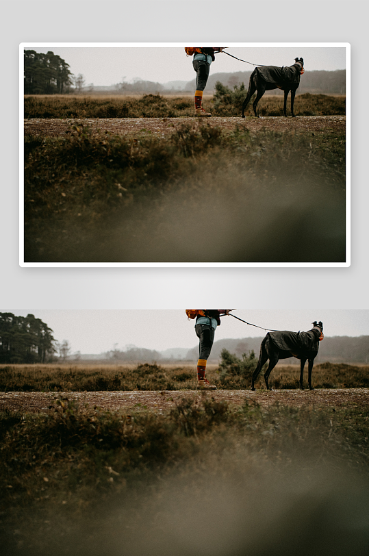 一人一狗在荒野小径上行走-众图网
