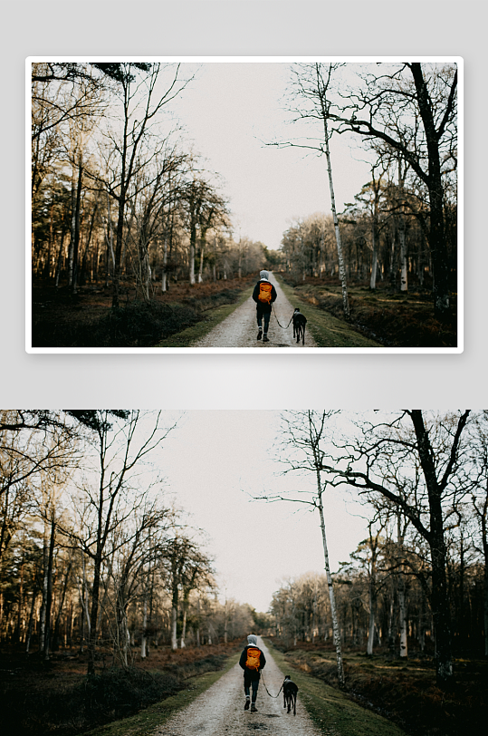 一人一狗林间小径散步-众图网
