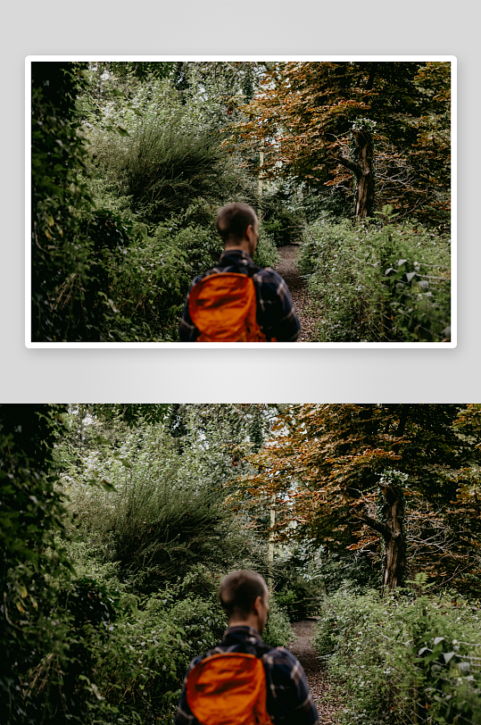 一人背影行走在林间小径-众图网