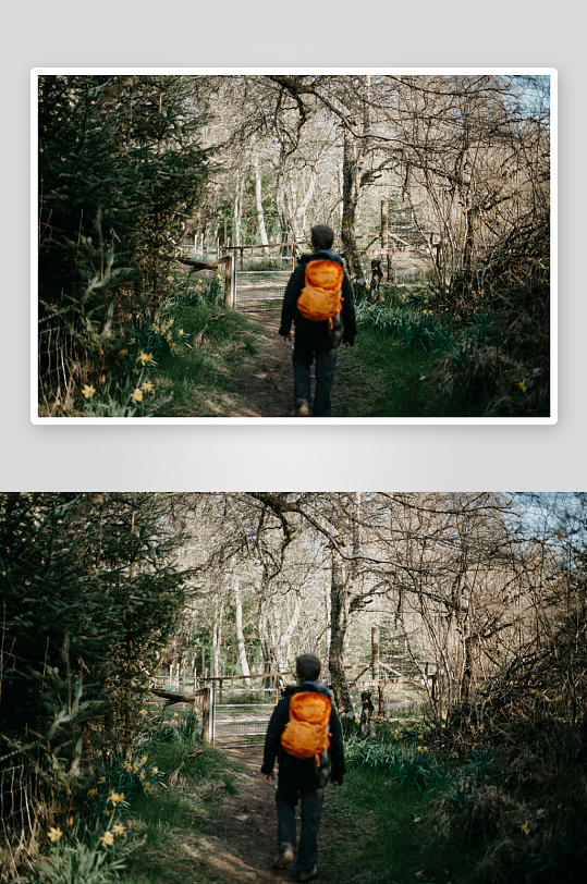一人背着橙色背包行走在林间小径-众图网