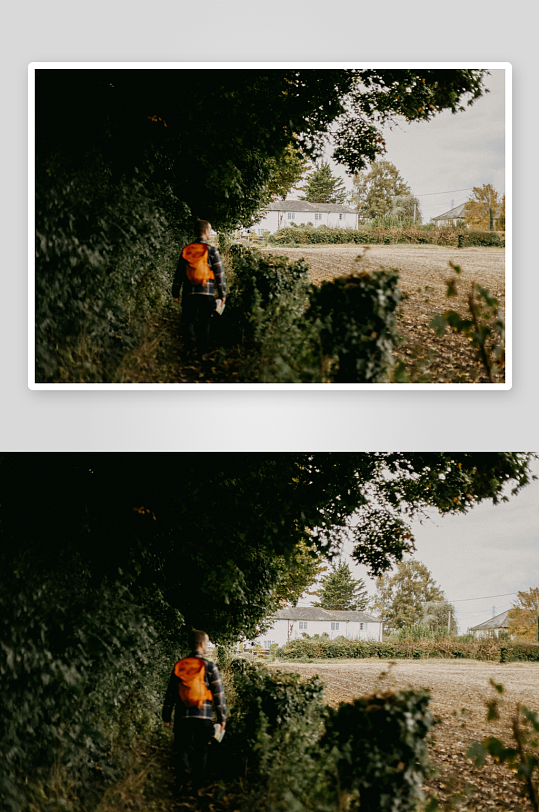 一人背着橙色背包走在林间小径-众图网