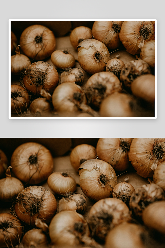 一堆干燥的洋葱特写-众图网