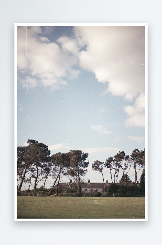 乡村庭院与松树林景-众图网