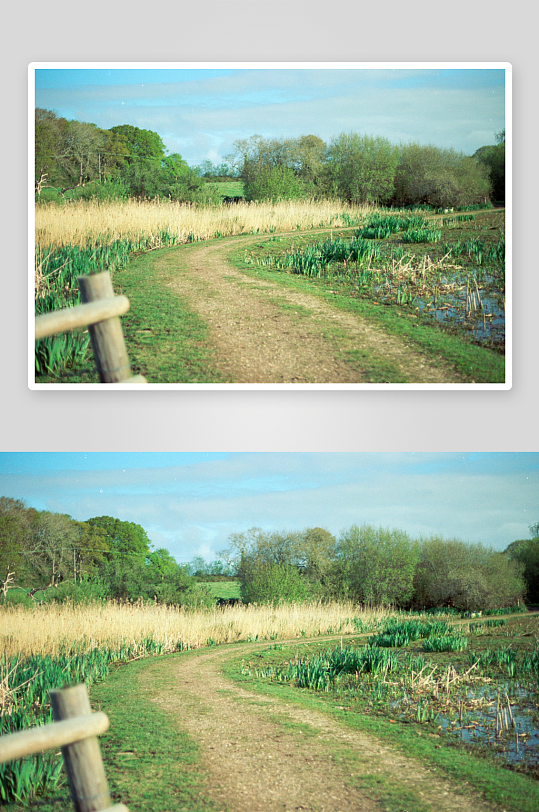 乡间小径旁的湿地景观-众图网