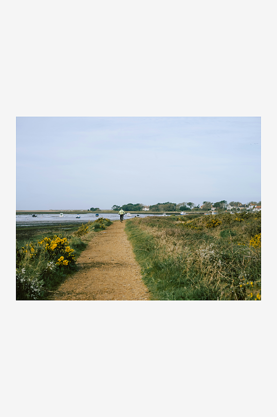 乡间小径旁的湿地风光-众图网