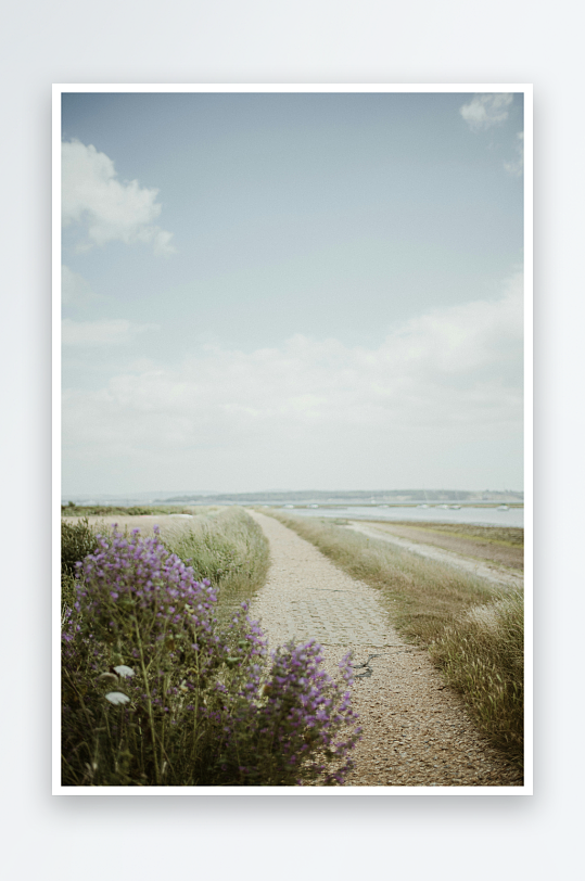 乡间小径旁的紫色野花-众图网