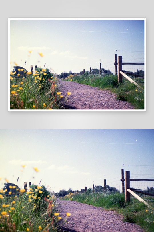 乡间小径旁的野花与木栅栏-众图网