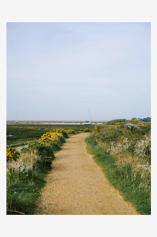 乡间小径旁的野花与远桥-众图网