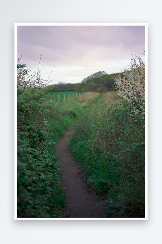 乡间小径穿行绿植丛中-众图网