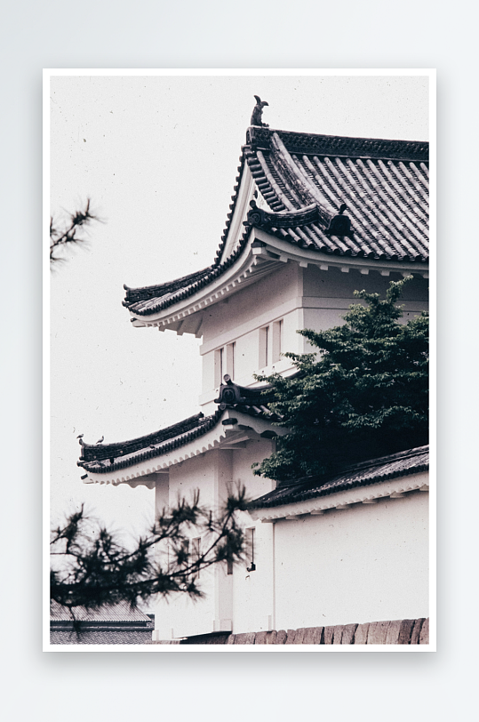 传统日式建筑屋顶与松树-众图网