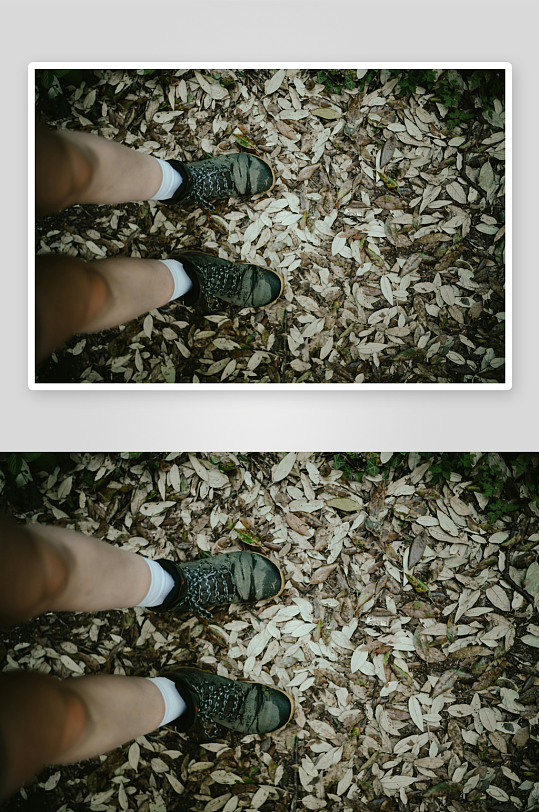 俯拍脚踩落叶地面-众图网