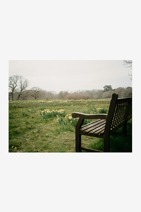 公园长椅旁的花田景色-众图网