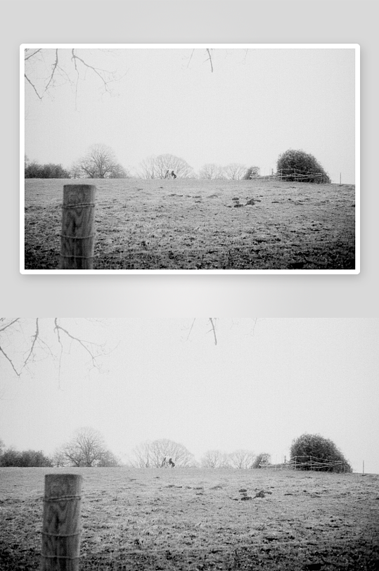 冬日旷野中的孤树与围栏-众图网