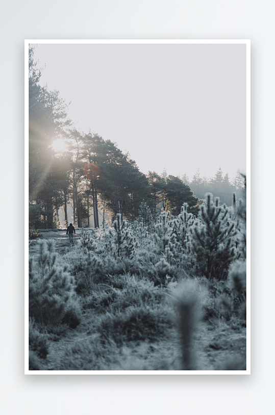 冬日晨光中的雪地小径-众图网