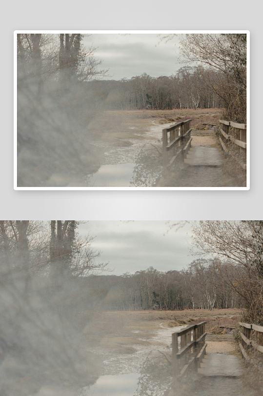 冬日林间小桥与溪流-众图网