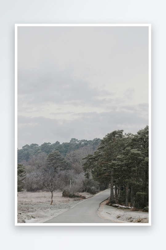 冬日林间蜿蜒小路-众图网