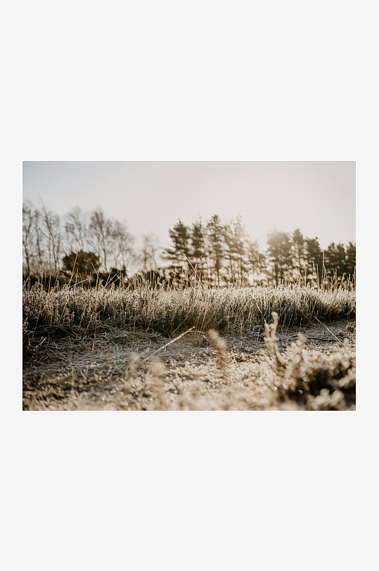 冬日荒野草地晨景-众图网