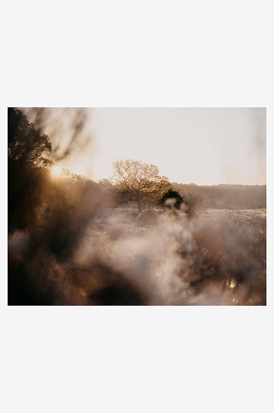 冬日黄昏的田野景象-众图网