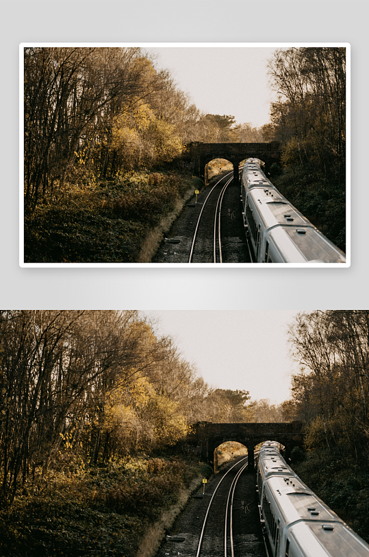 列车穿行于秋日林间铁轨-众图网