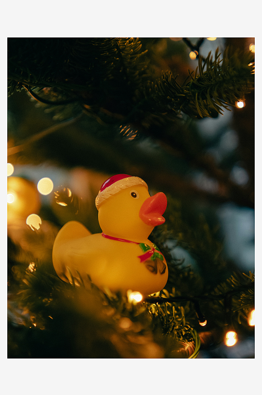 圣诞树上的黄色橡皮鸭-众图网