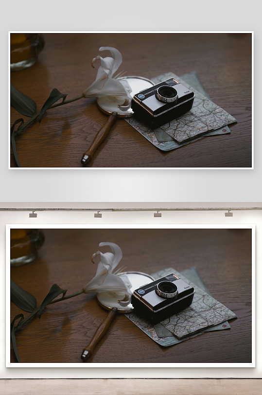 复古相机与白花静物-众图网