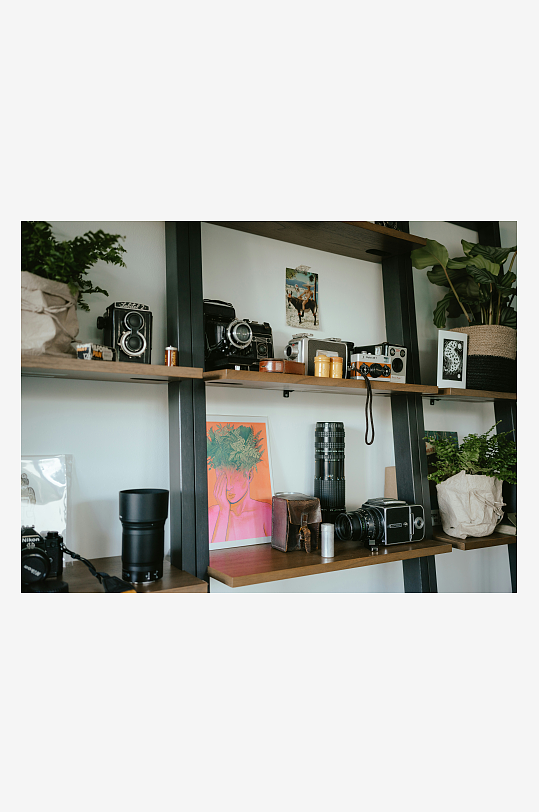 复古相机与绿植陈列架-众图网