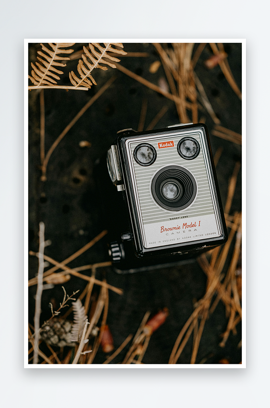 复古相机置于枯叶之上-众图网
