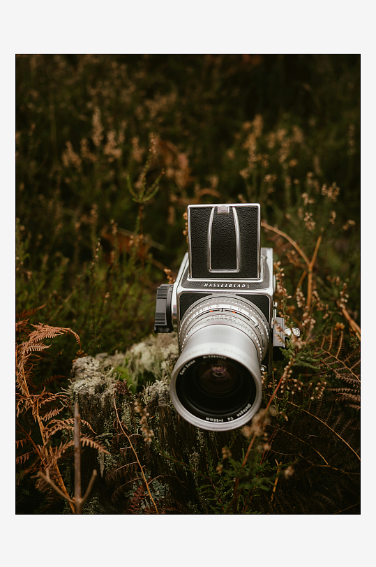 复古相机置于自然植被中-众图网