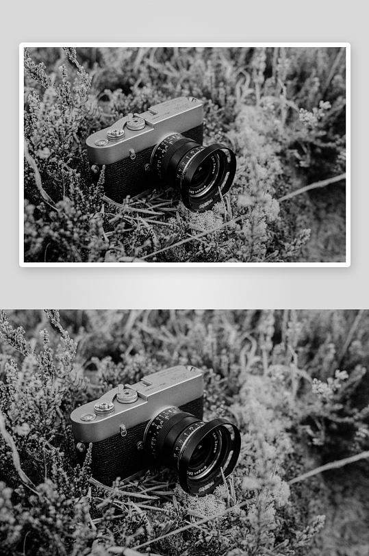 复古相机置于野草丛中-众图网