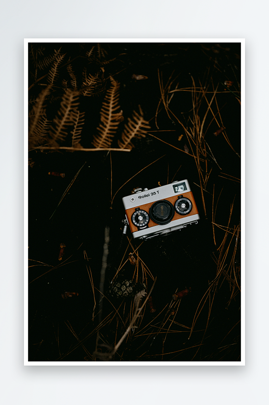 复古相机静置于林间地面-众图网