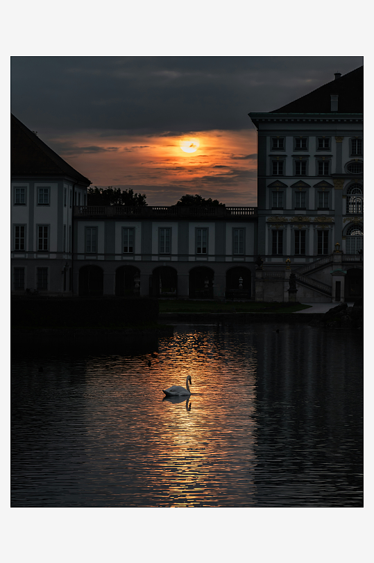 夕阳下湖面天鹅与建筑倒影-众图网