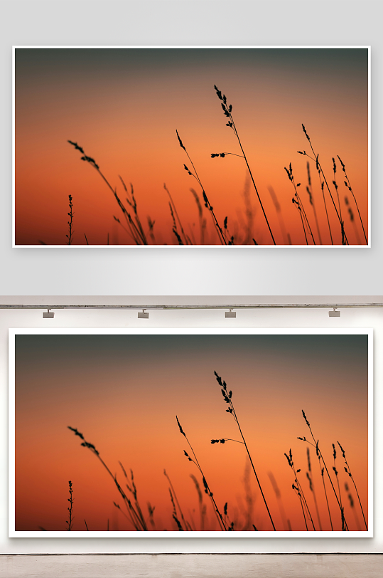 夕阳下的草丛剪影-众图网