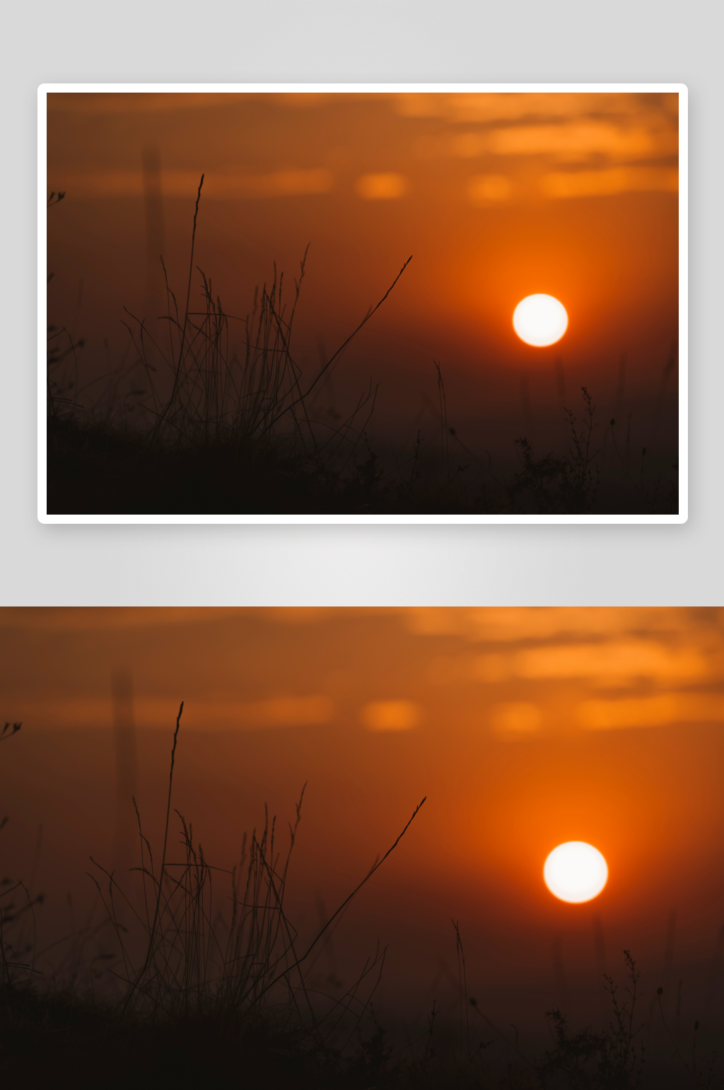 夕阳下的草地剪影素材