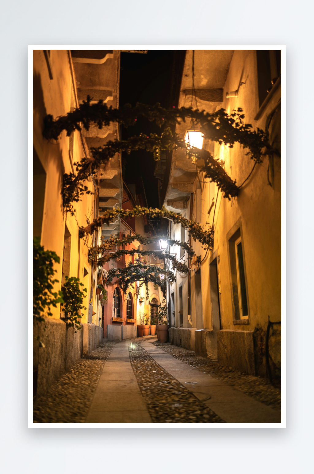 夜巷花廊灯光映照素材