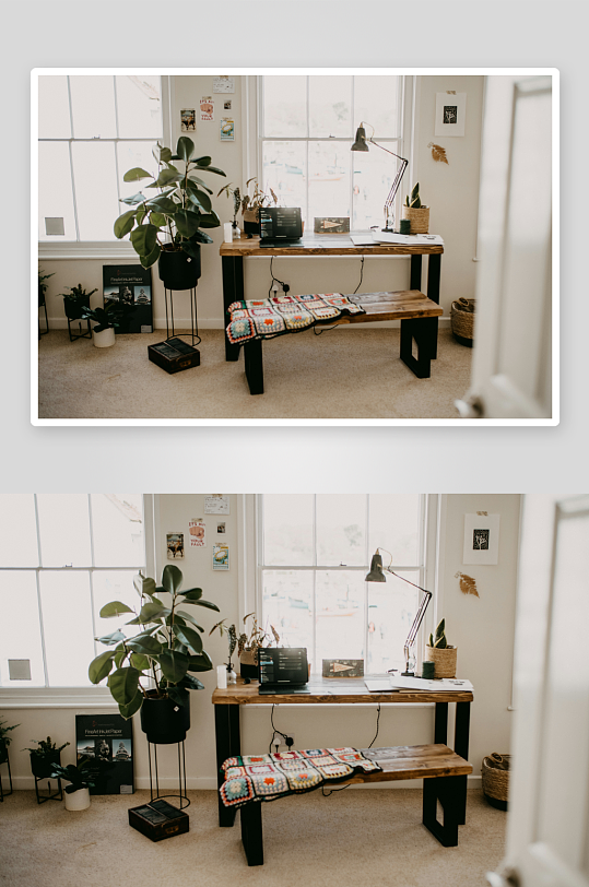 室内工作区植物装饰-众图网