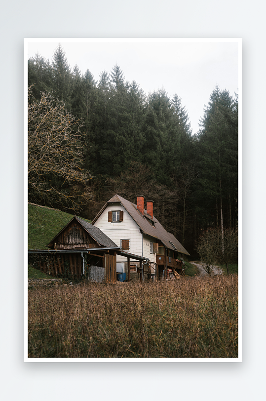 山林中的木屋与草地-众图网