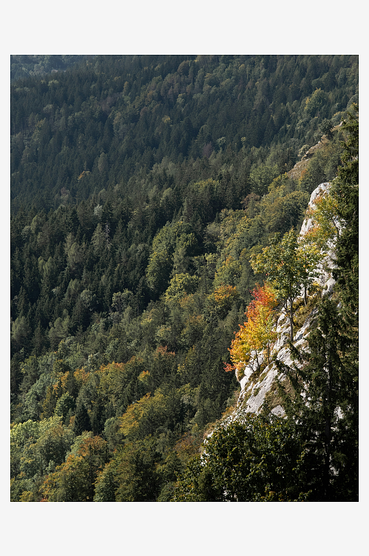 山林秋景与岩石峭壁-众图网