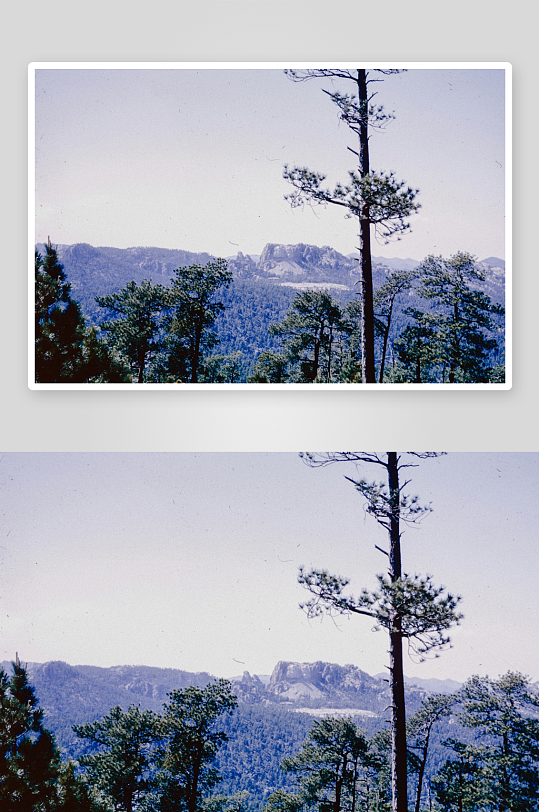 山林远景与松树剪影-众图网