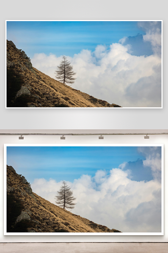 山脊孤树云海景观-众图网