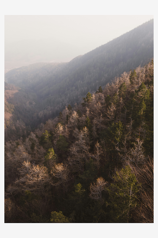 山谷森林俯瞰景象-众图网