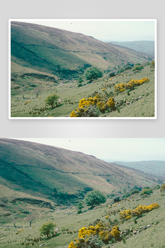 山谷绿野与黄花盛开-众图网