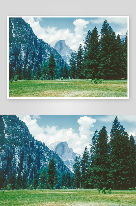 山谷草地与雪山森林-众图网