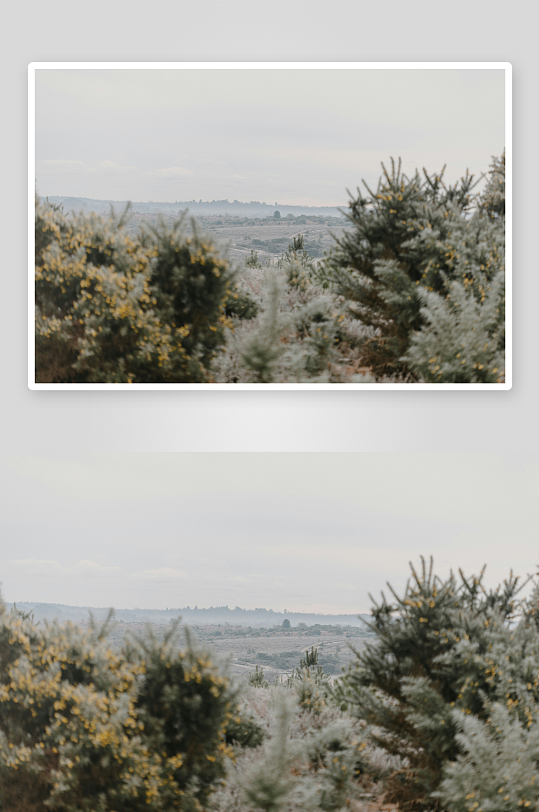 山野灌木与远眺风景-众图网